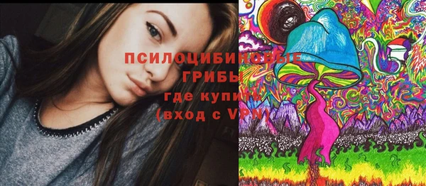 2c-b Липки