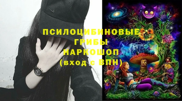 таблы Лиски