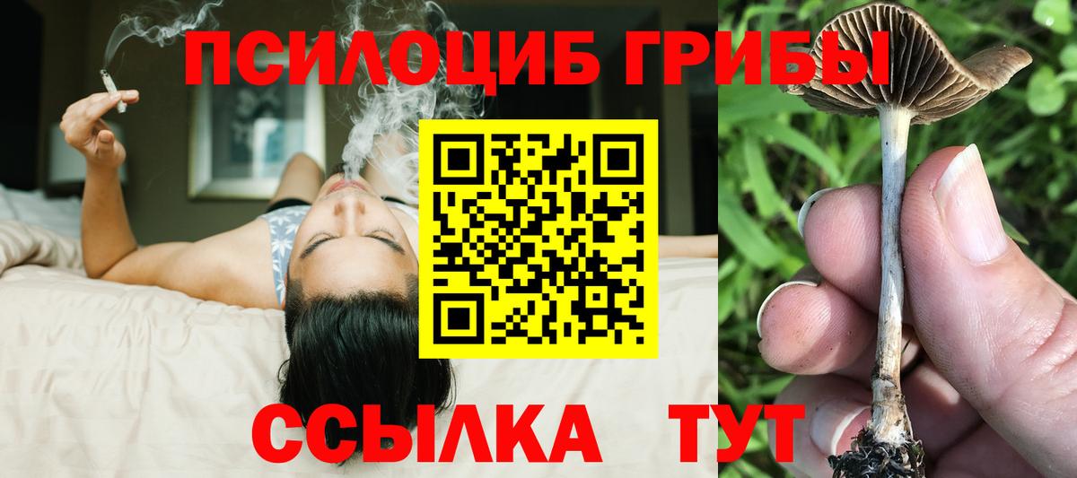 Псков  Псилоцибиновые грибы Magic Shrooms  Псилоцибиновые грибы мухоморы  Вход с VPN 