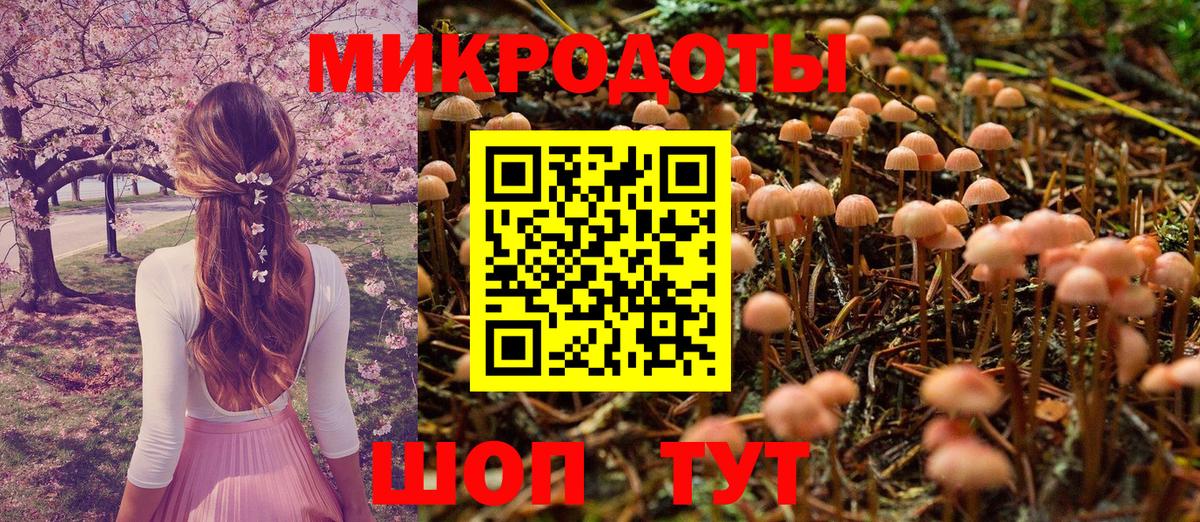 Псилоцибиновые грибы MAGIC MUSHROOMS Псков