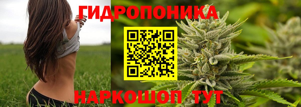 МАРИХУАНА White Widow Псков